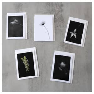 Black and white series sale.