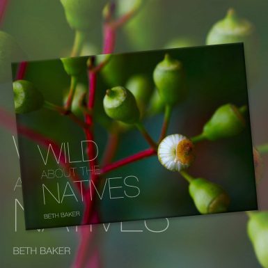 Wild About The Natives